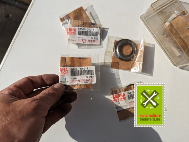 PXL_20240528_154255503